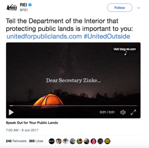 REI social example