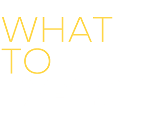 what-to-expect-upscaled